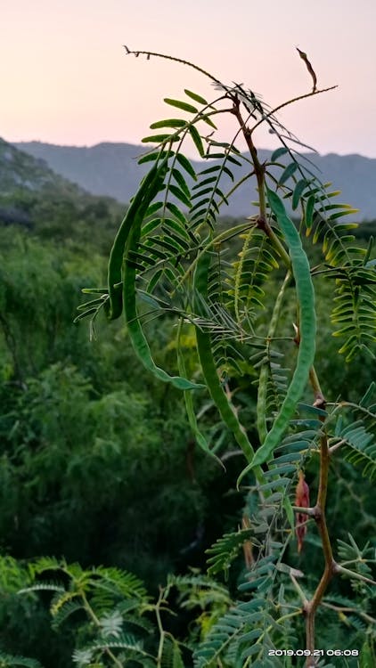 Come configurare Google Tag Manager per tracciare gli eventi SEO