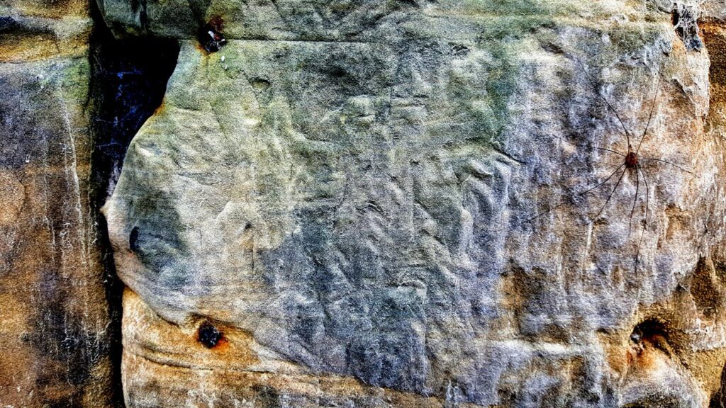 Google Core Update: cosa sono e come reagire agli aggiornamenti