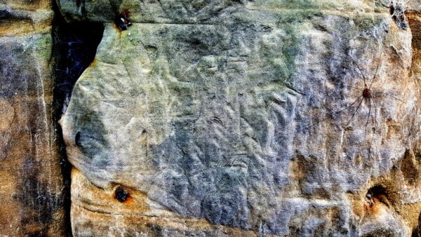 Google Core Update: cosa sono e come reagire agli aggiornamenti