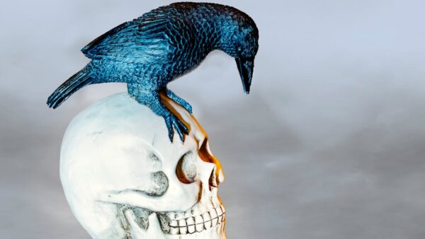 SEO per startup: come costruire visibilità online da zero