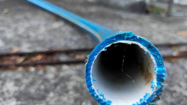 Come ottimizzare le tassonomie di WordPress per la SEO