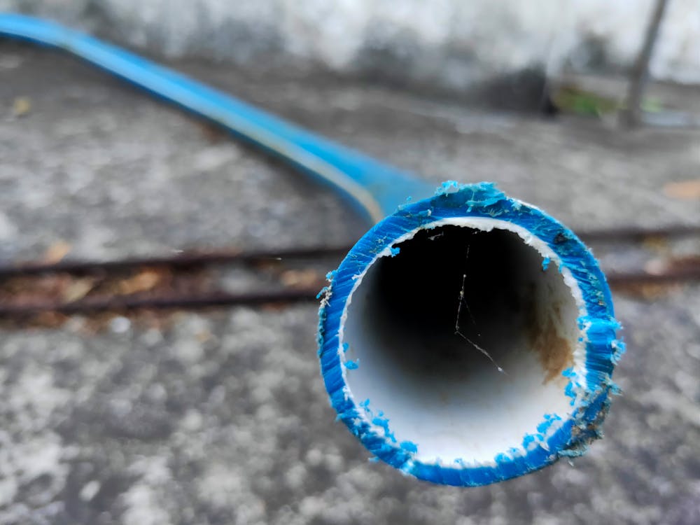 Come ottimizzare le tassonomie di WordPress per la SEO