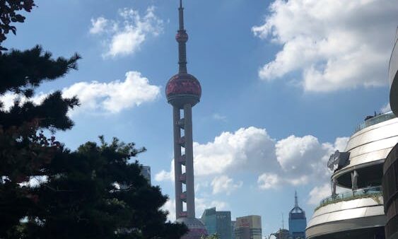 Hosting e SEO: come il server influenza il posizionamento