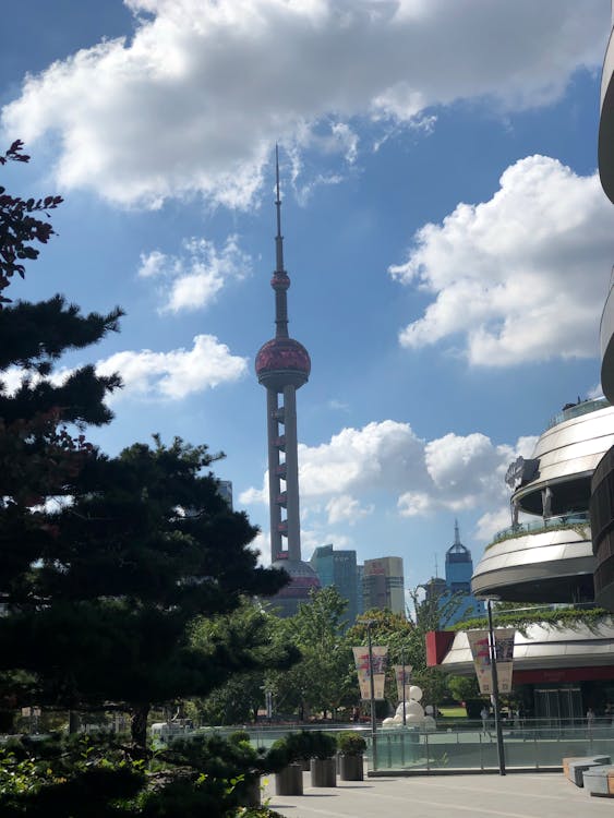 Hosting e SEO: come il server influenza il posizionamento