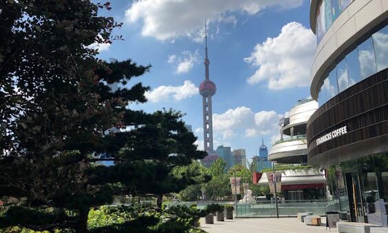 Topical authority: come diventare un'autorità su un argomento