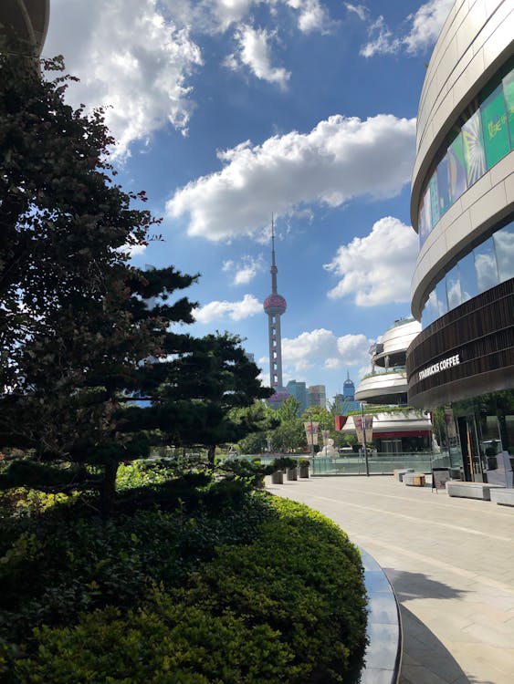 Topical authority: come diventare un'autorità su un argomento