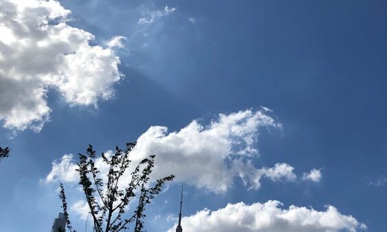 SEO per podcast: come far trovare i tuoi episodi su Google