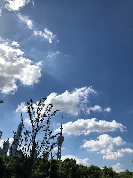 SEO per podcast: come far trovare i tuoi episodi su Google