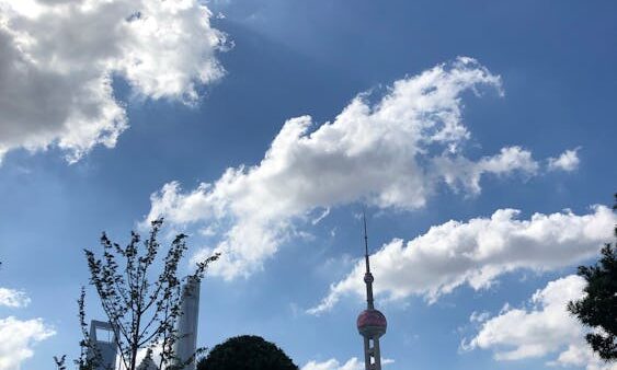 Come creare un hub di contenuti per dominare una nicchia SEO