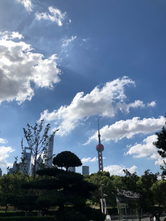 Come creare un hub di contenuti per dominare una nicchia SEO