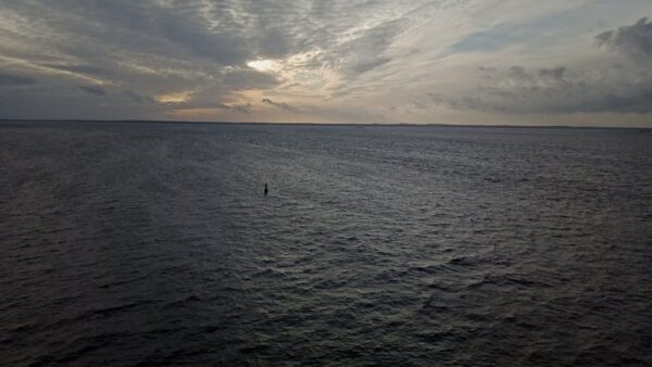 Google BERT: come l'IA cambia la comprensione delle query