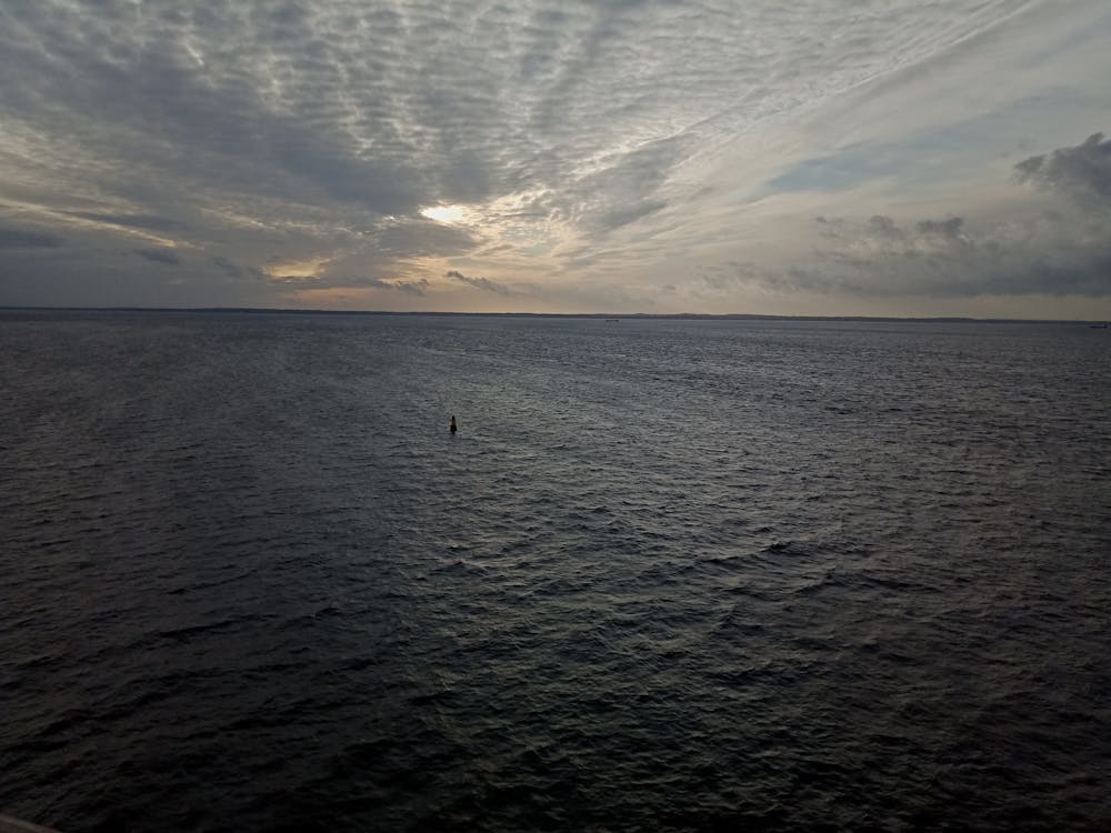 Google BERT: come l'IA cambia la comprensione delle query