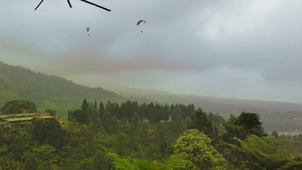 Voice search SEO: come ottimizzare per la ricerca vocale