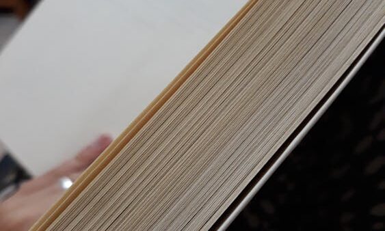 Orphan pages: cosa sono e come trovarle sul tuo sito