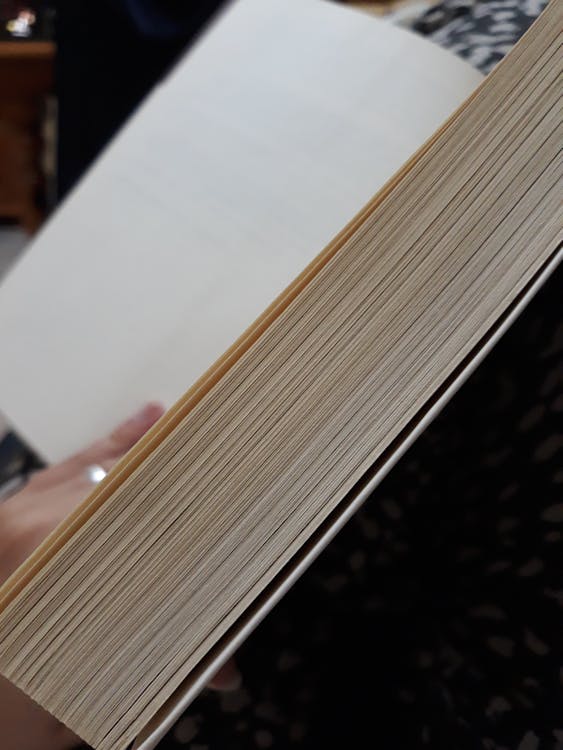 Orphan pages: cosa sono e come trovarle sul tuo sito