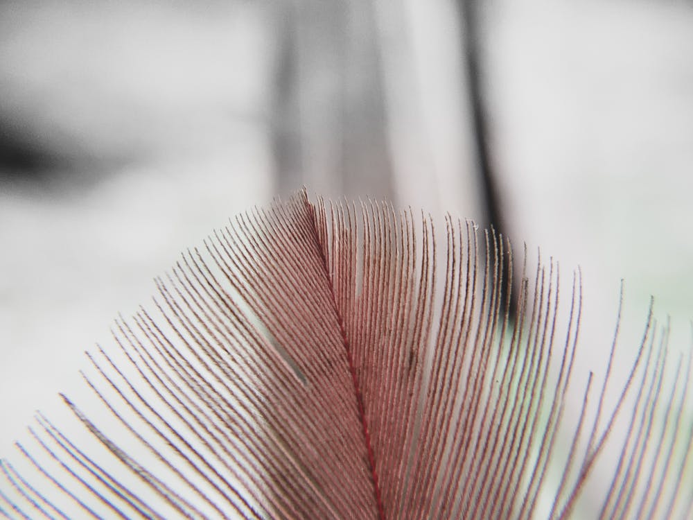 Google Multisearch: la ricerca visiva e il futuro della SEO