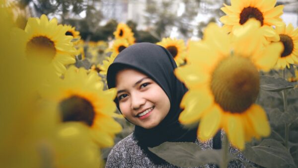 SEOPress: guida completa al plugin SEO per WordPress