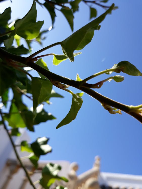 Come fare un audit dei contenuti per migliorare la SEO