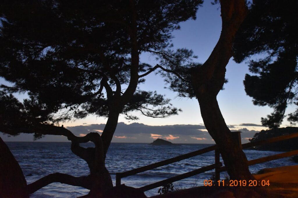 Core Web Vitals e WordPress: plugin e tecniche di ottimizzazione