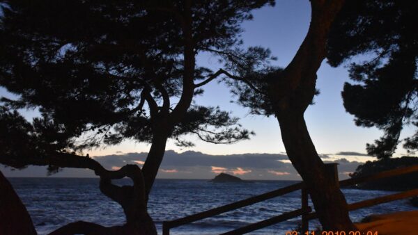 Core Web Vitals e WordPress: plugin e tecniche di ottimizzazione