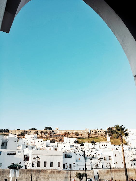 Cannibalizzazione dei contenuti: cos'è e come prevenirla