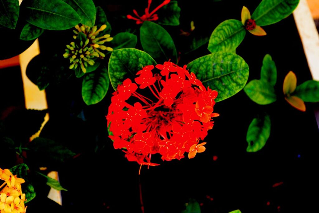 Link interni strategici: modelli di architettura per siti grandi