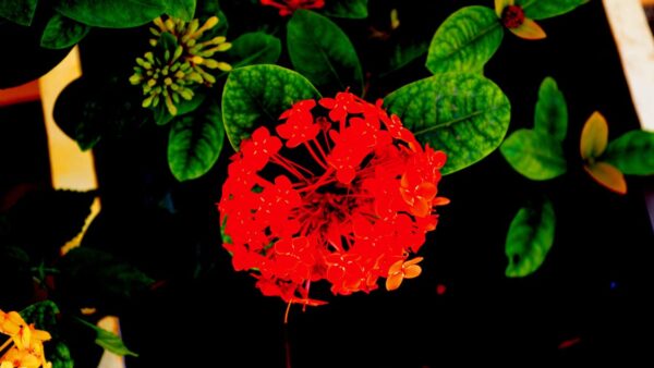 Link interni strategici: modelli di architettura per siti grandi