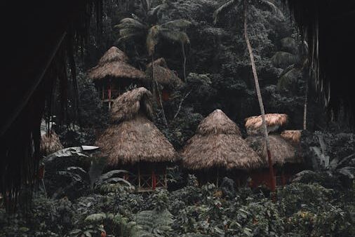 Confronto Rank Math vs SEOPress: quale plugin SEO scegliere