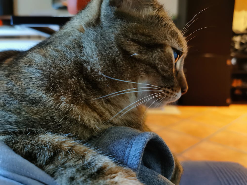 Come fare SEO per WooCommerce nel 2025