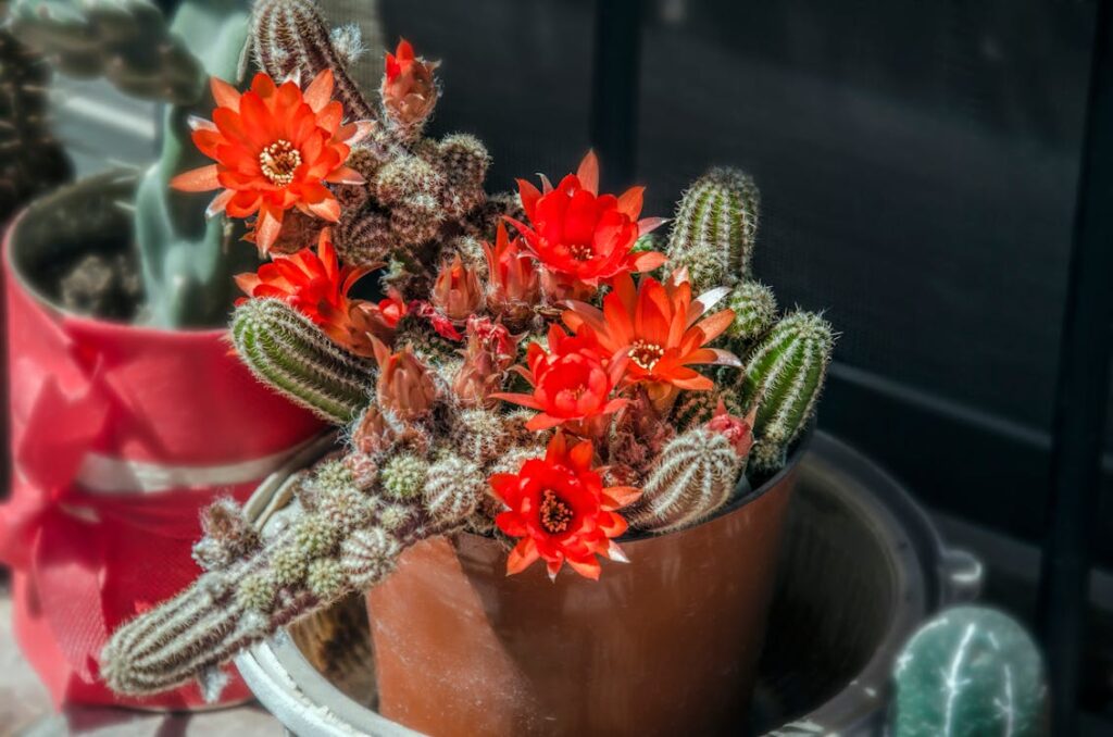 SEO per il settore energetico: come posizionare aziende green