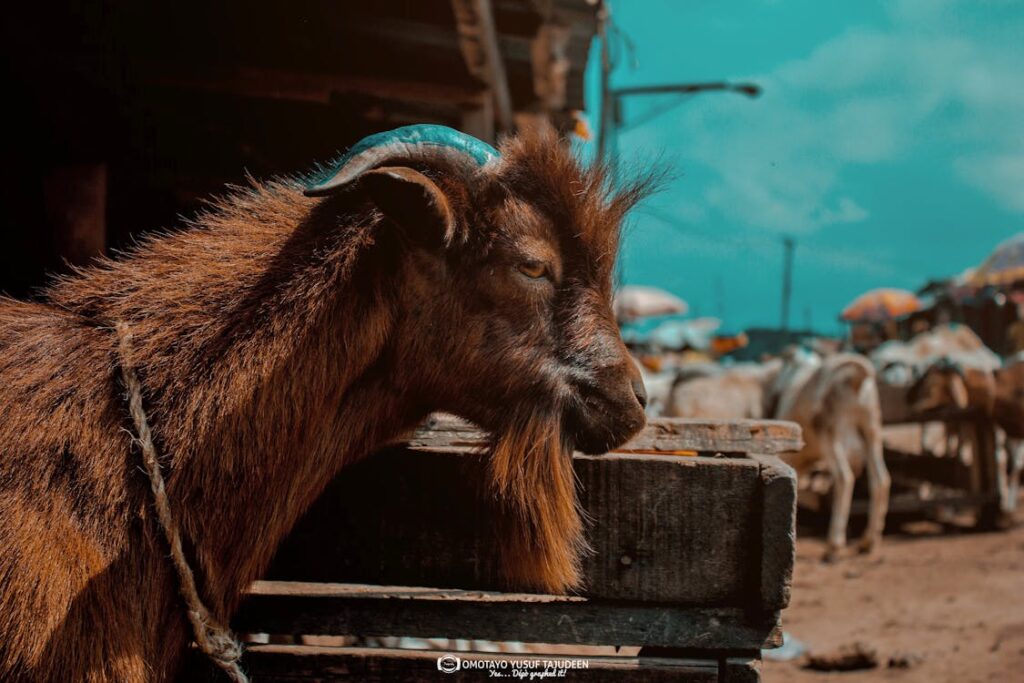 SEO e dati strutturati nel 2025: oltre Schema.org