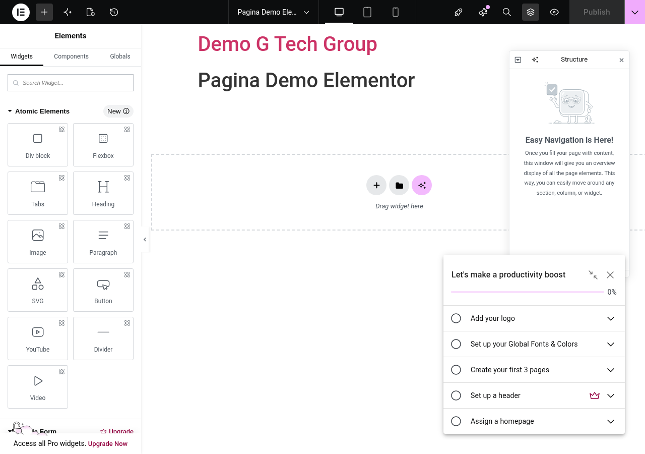 Dynamic Tags di Elementor