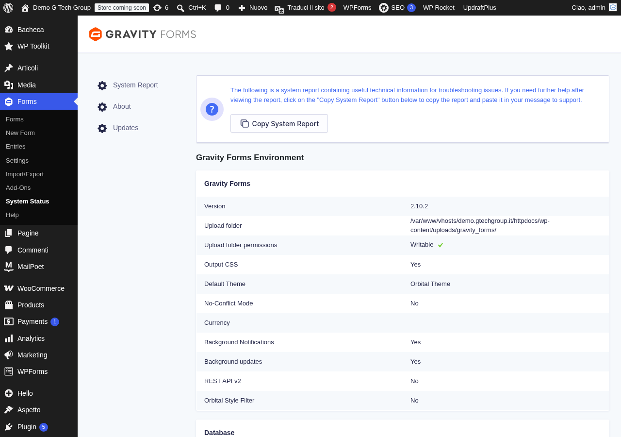 Stato del sistema Gravity Forms con verifica della compatibilità con temi e personalizzazioni