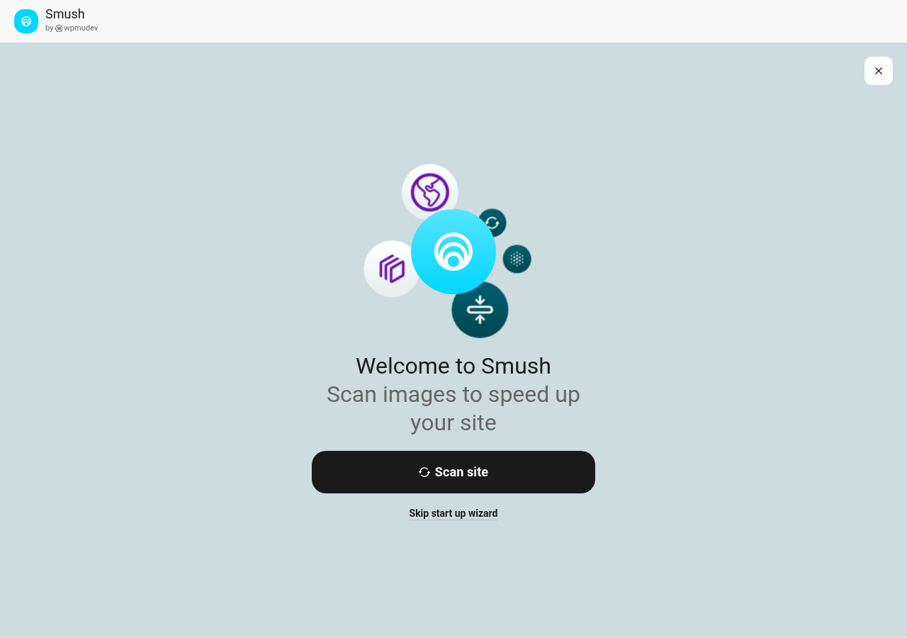 Impostazioni lazy load di Smush con lista di esclusione per risolvere conflitti