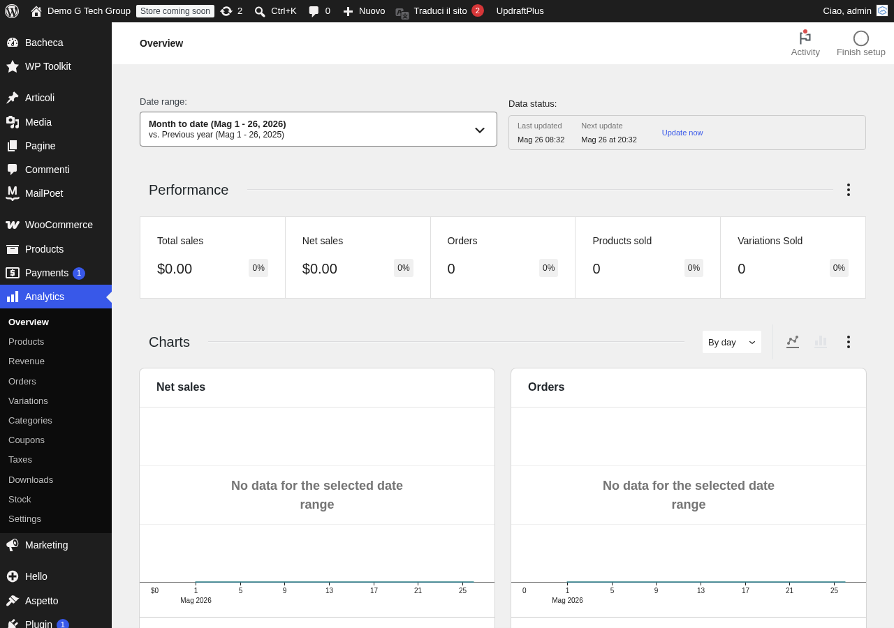 Report delle campagne Google Ads con dati di conversione e ROAS