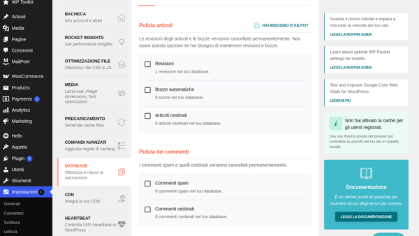 WP Rocket database tab