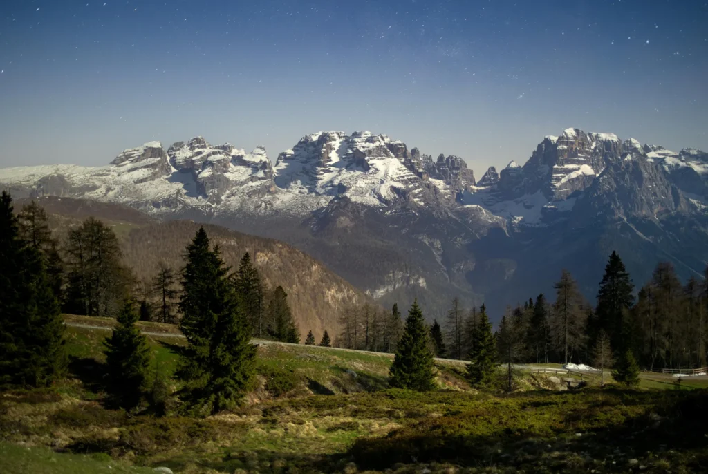 Errore critico WordPress: come risolverlo