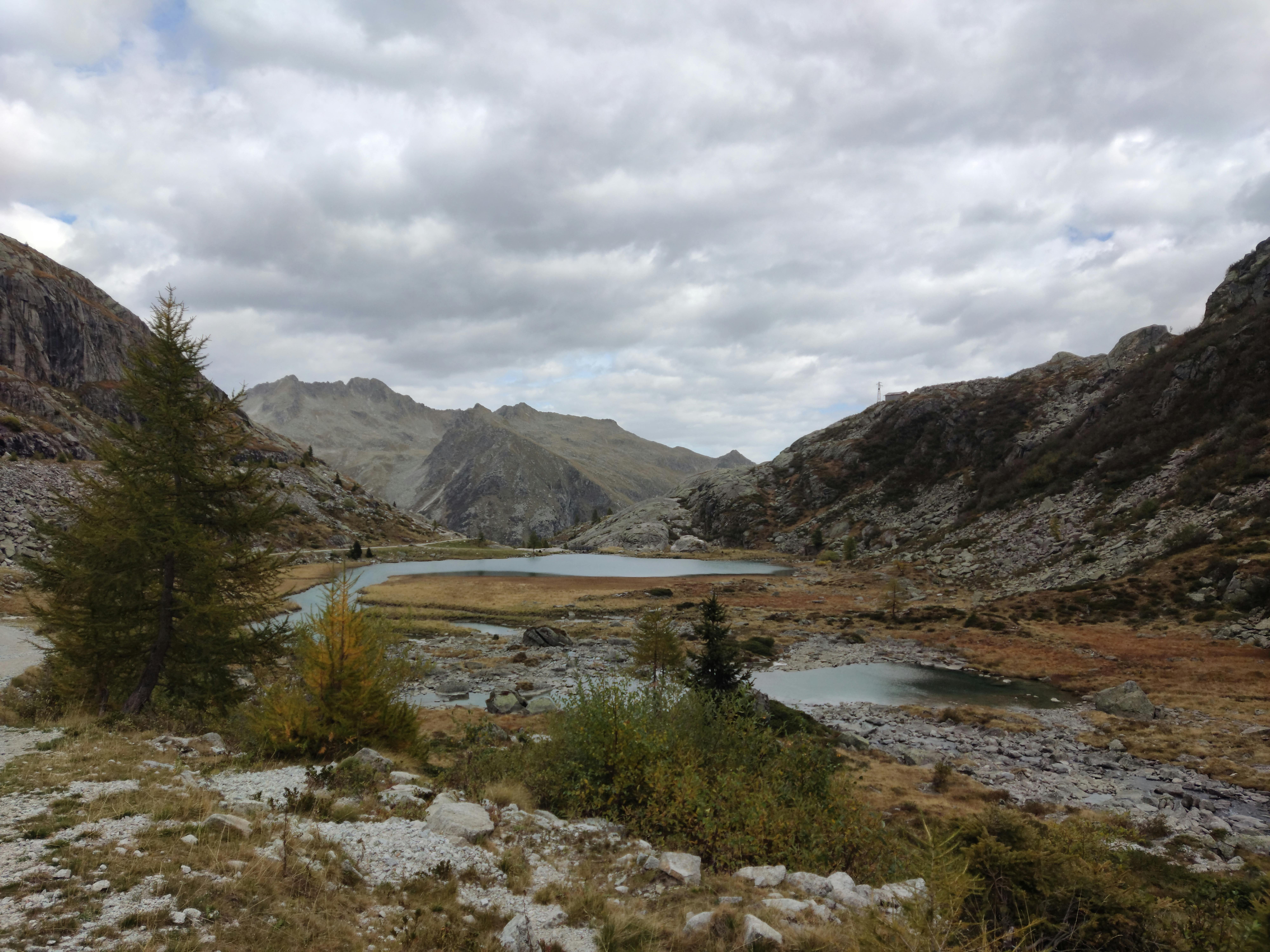 Realizzazione Siti Web Parma - G Tech Group