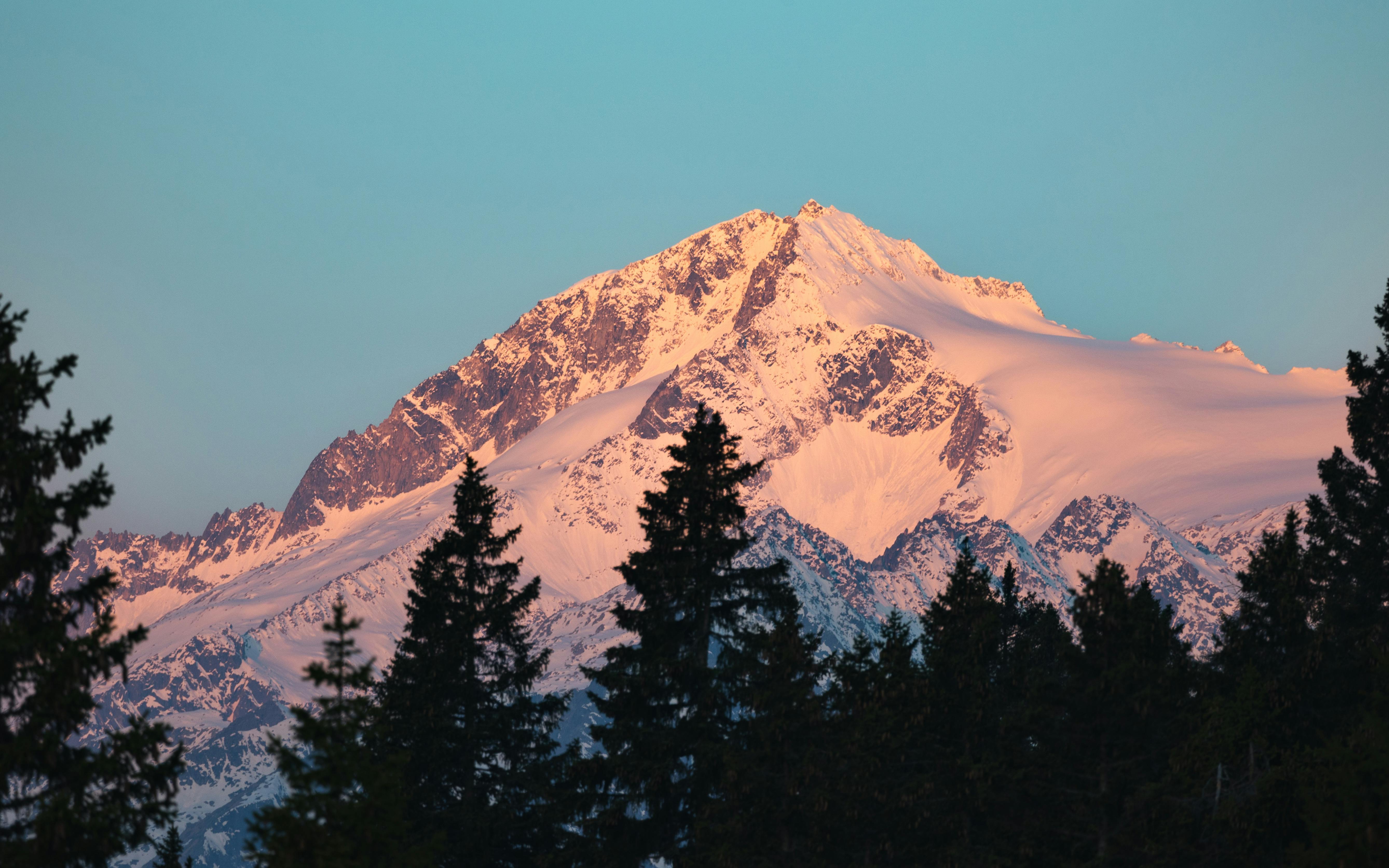 Sfondo decorativo generatore robots.txt