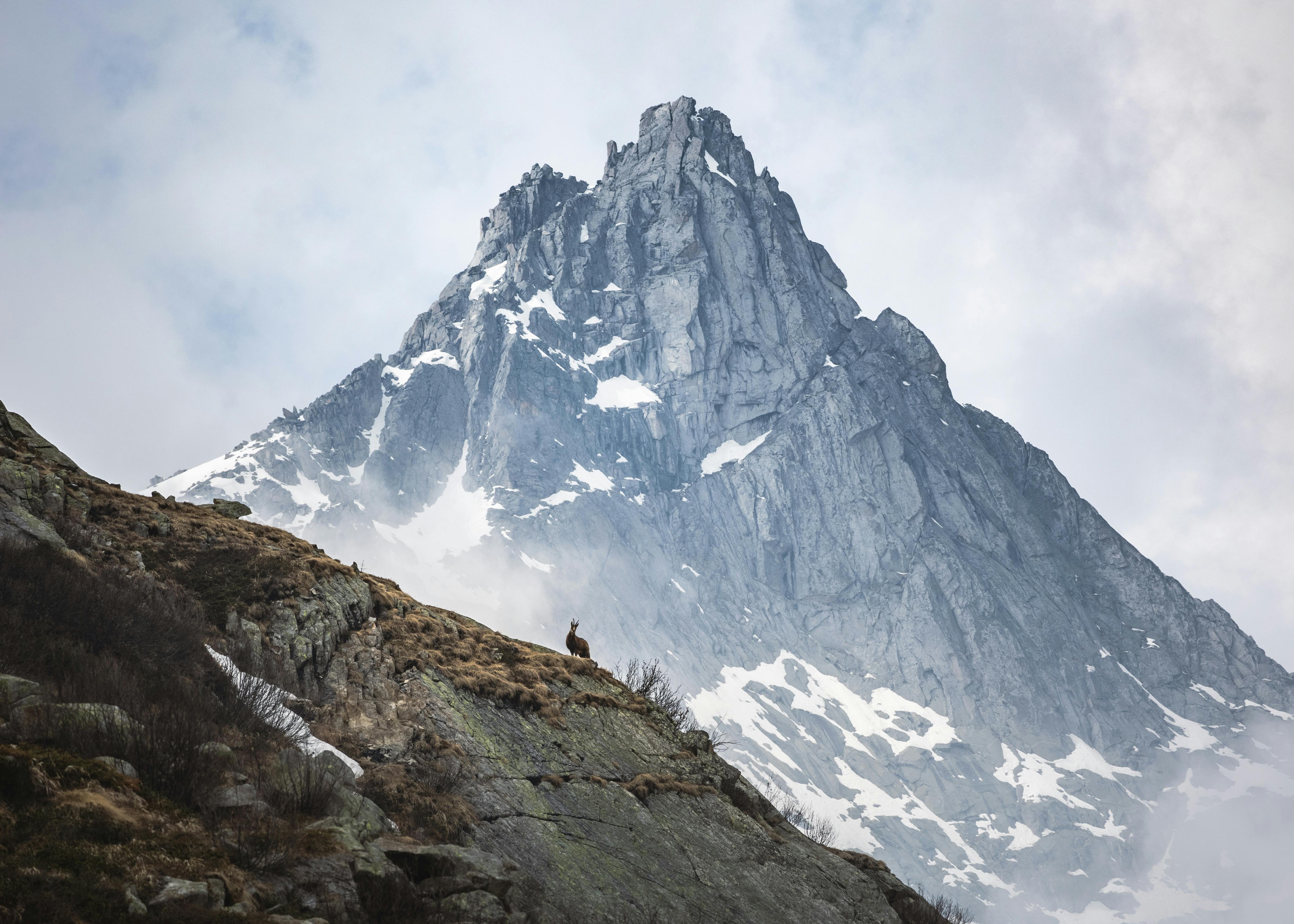 Sfondo decorativo piattaforma messaggistica aziendale