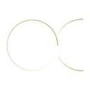 Logo Francesco Arnone