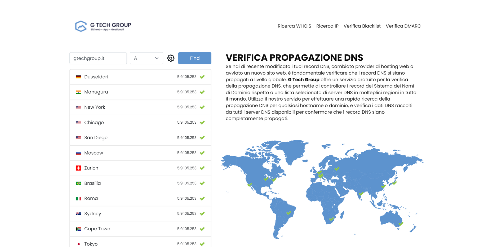 Global DNS propagation verification screen.