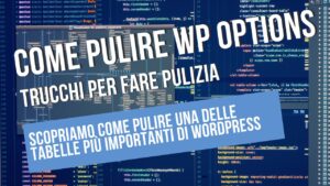 come pulire la tabella wp options di wordpress